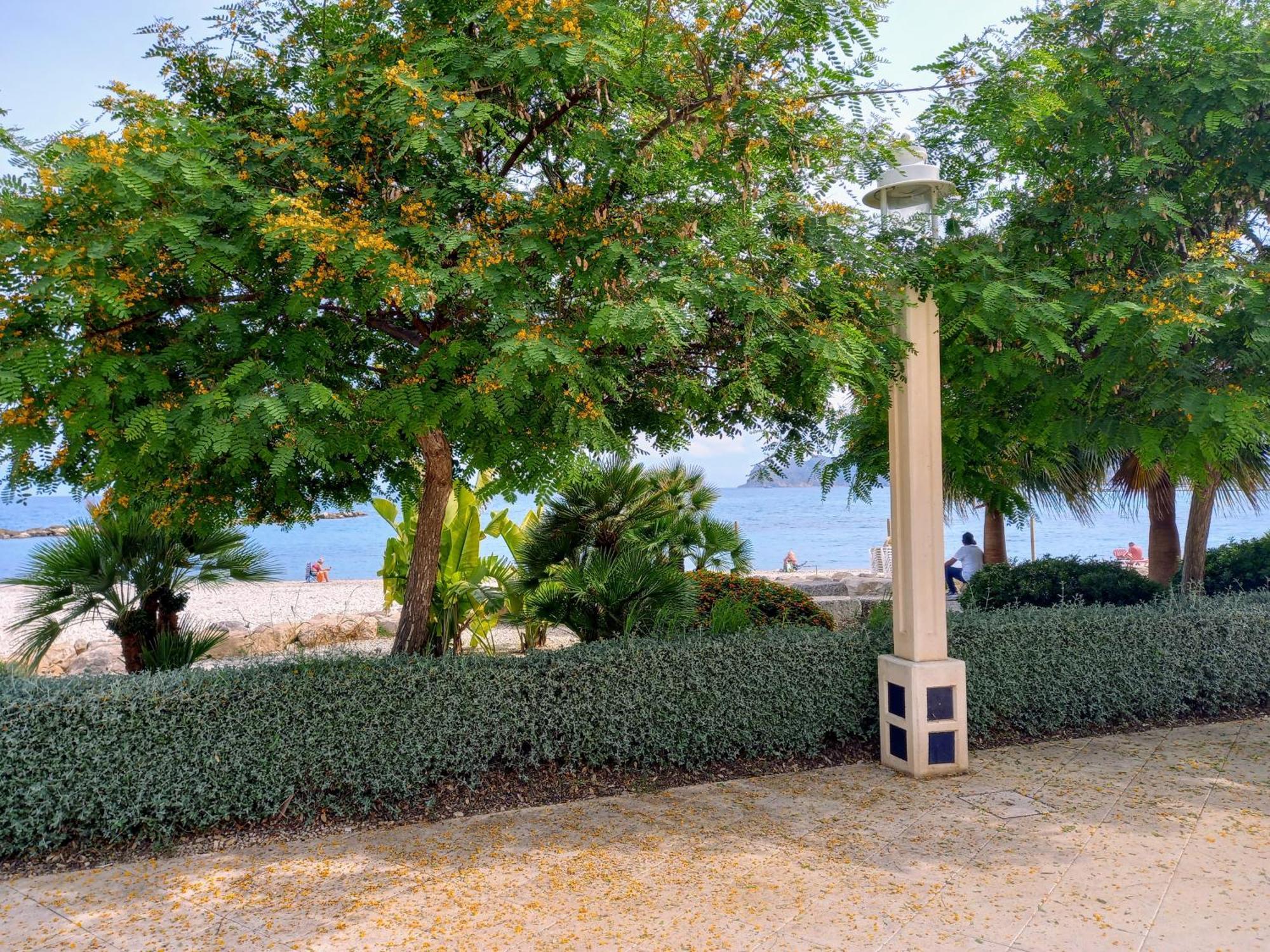 Altea Olivos G Exterior foto