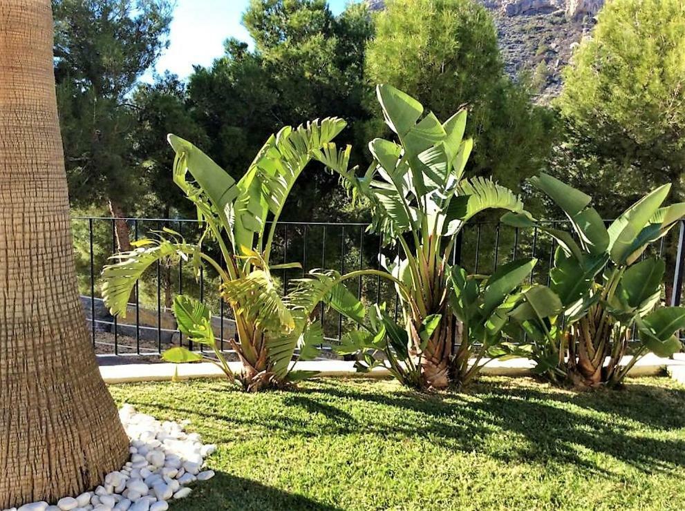 Altea Olivos G Exterior foto